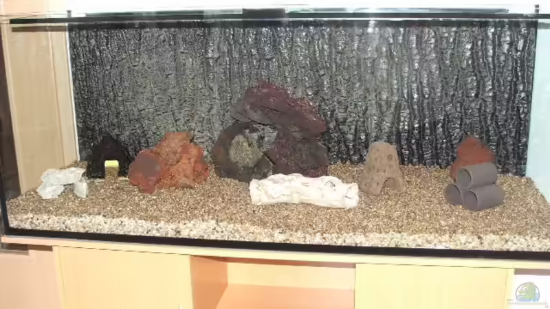 einrichten von Tiger1309 (3)