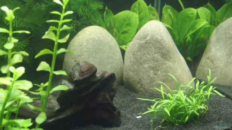 Einrichtung... von Jakobi (4)