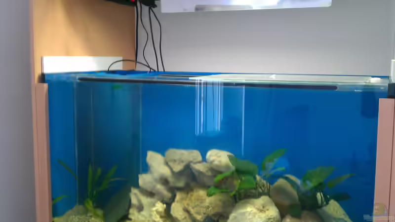 Einrichtung - Becken befüllt alt von Bas-ti (4)