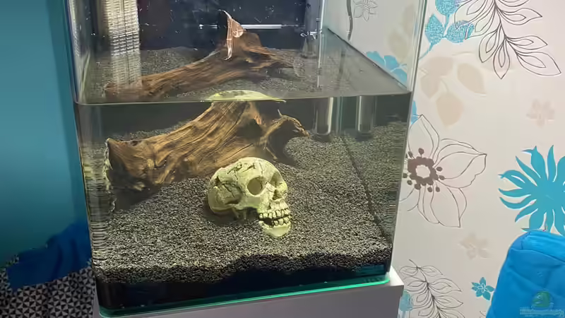 Einrichtung  von Ottche (7)