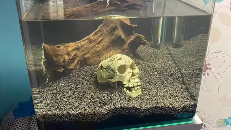 Einrichtung  von Ottche (8)