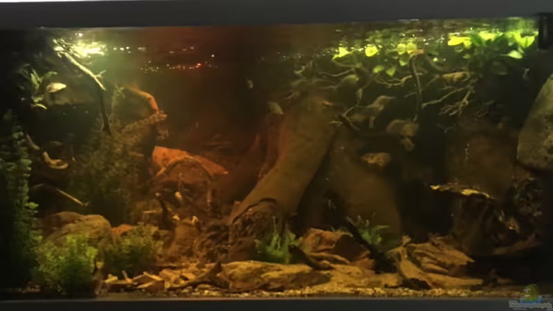 Einrichtung 09.2018 von Hedylein (4)