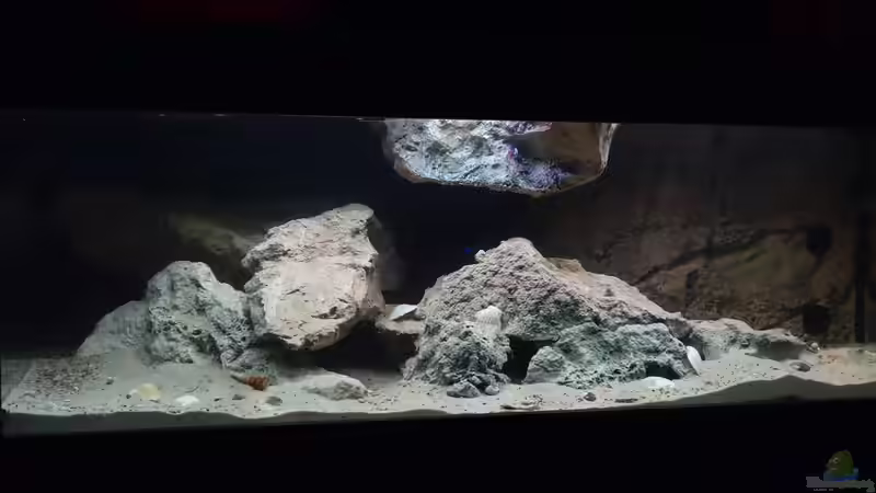 Einrichtung 1.0.1 von Charmin (7)