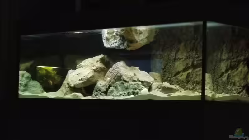 Einrichtung 1.0 von Charmin (6)