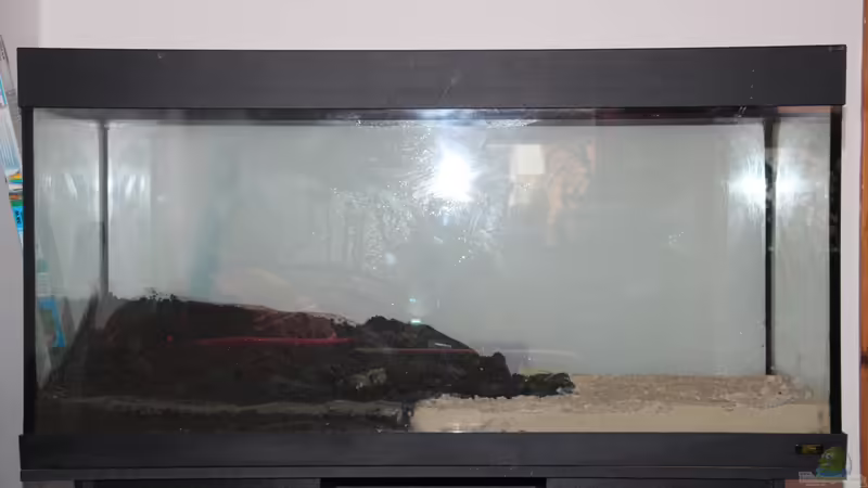 Einrichtung 1 von disco-d (18)