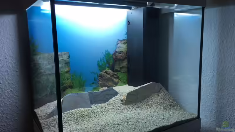 Einrichtung 1 von ESA_72 (2)