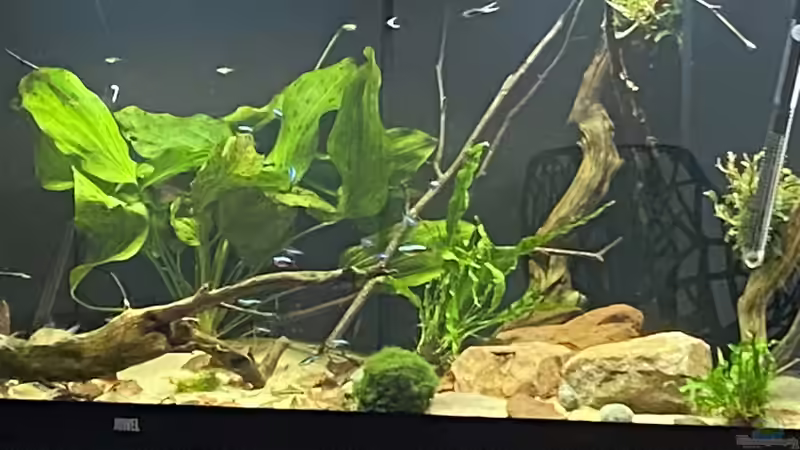 Einrichtung 10/21 von Mika (12)