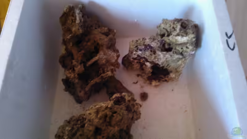 einrichtung 17. 8. 2012 von madapusa (3)