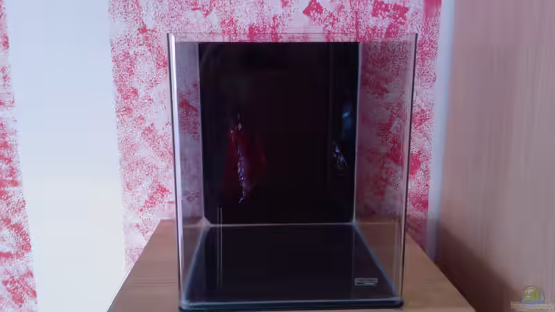 einrichtung 17. 8. 2012 von madapusa (5)