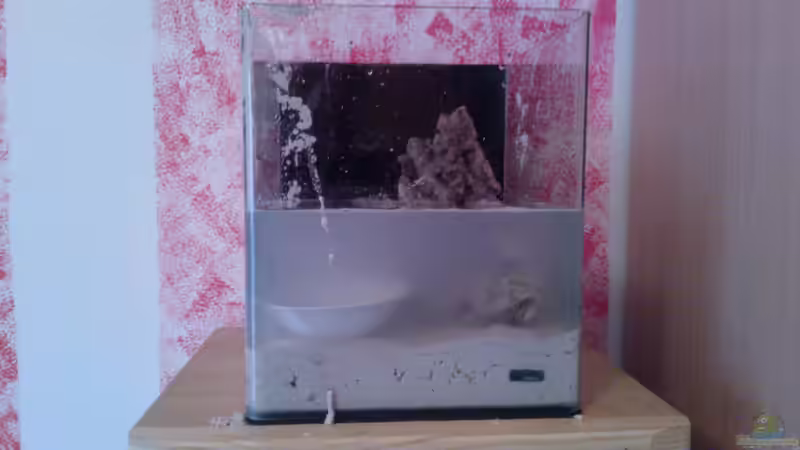 einrichtung 17. 8. 2012 von madapusa (7)