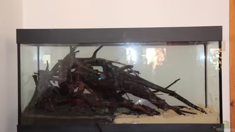 Einrichtung 2 von disco-d (17)