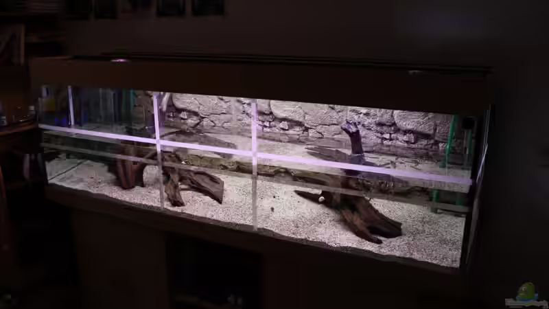 Einrichtung 2010-12-01 von haimik (2)