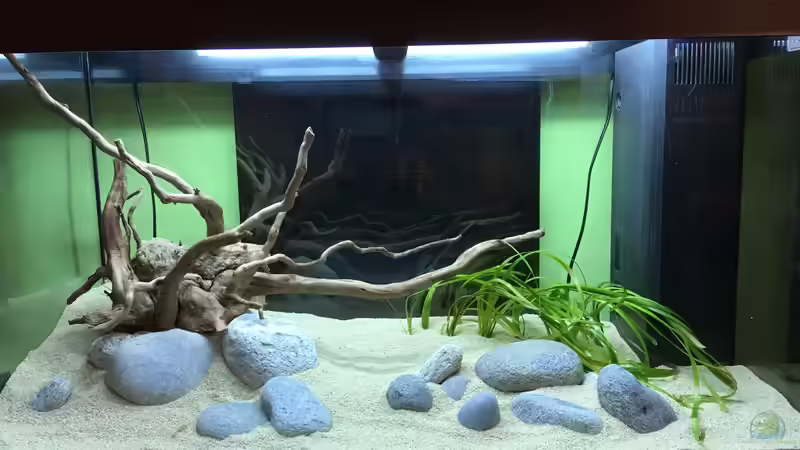 Einrichtung 22.01.2019 von Yell0W (2)