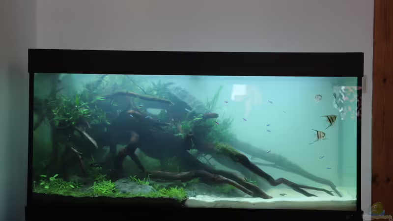 Einrichtung 3 von disco-d (16)