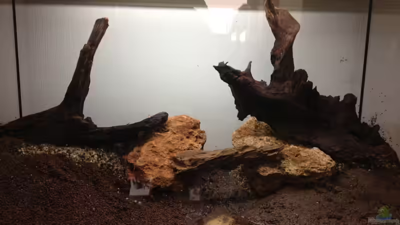 Einrichtung 3 von spanky_cruz (9)