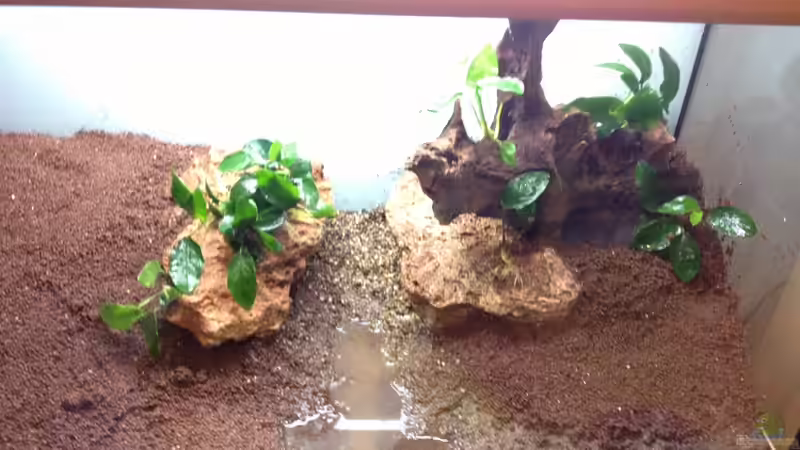 Einrichtung 4 von spanky_cruz (10)