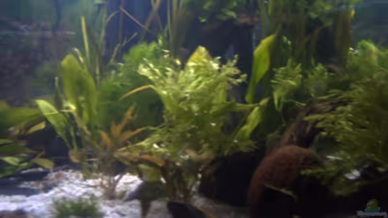 Einrichtung am 07.12.2004 von Holger Freiwald (2)