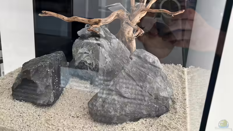 Einrichtung am 16.03.22 von Dietmar Keßl (18)