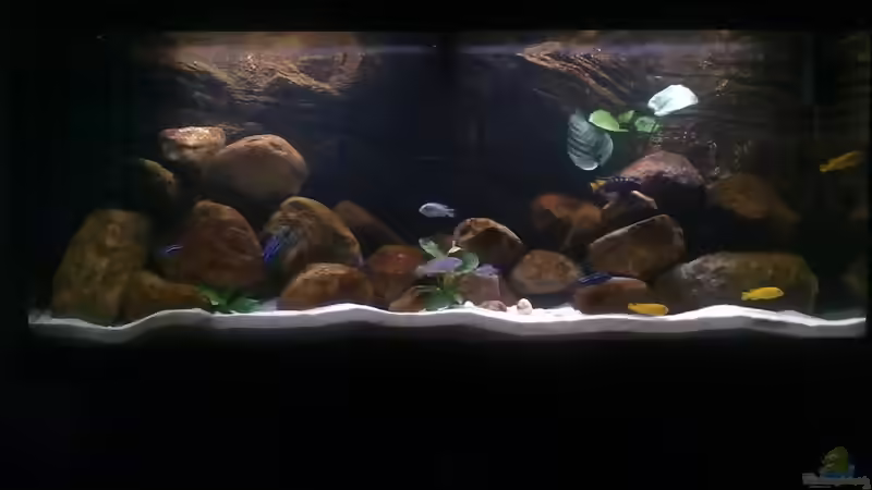 Einrichtung April 2010 von Robert Verhülsdonk (1)