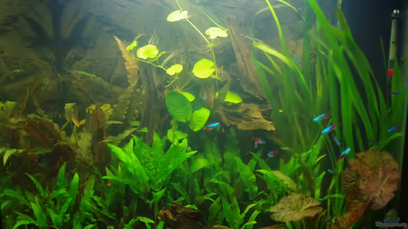 Einrichtung beendet am 08.03.2014 von Herr H. (2)