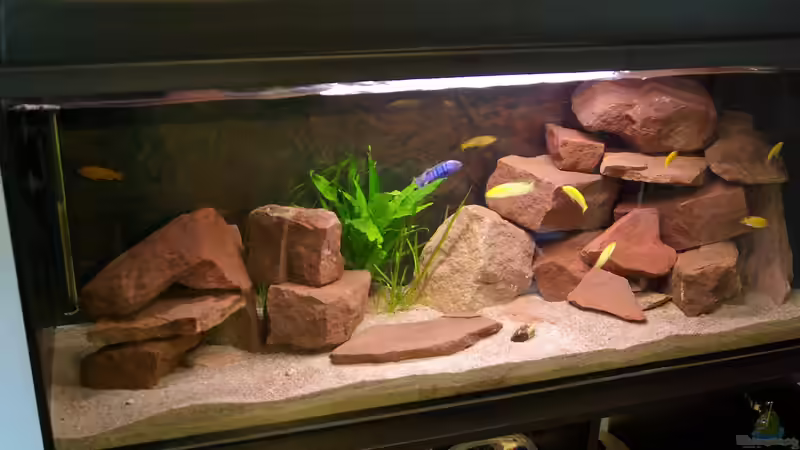 Einrichtung Gesamtansicht von Duder Malawikus (13)