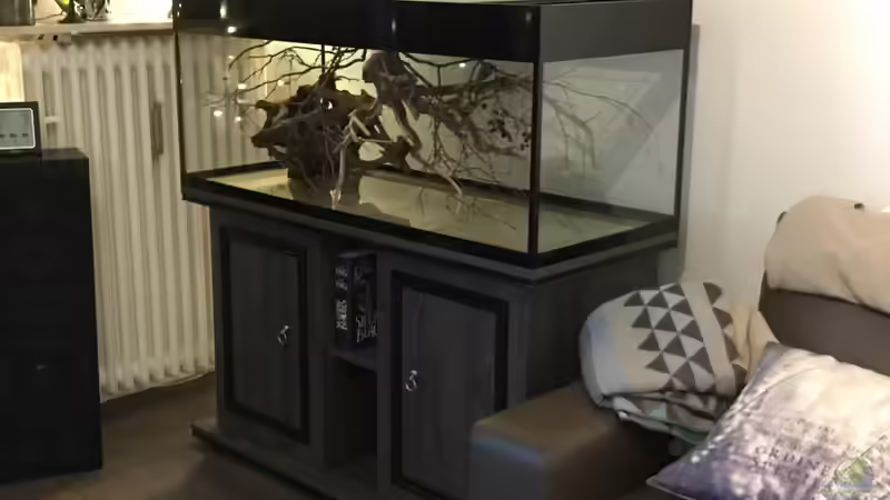 Einrichtung II von NaMo (12)