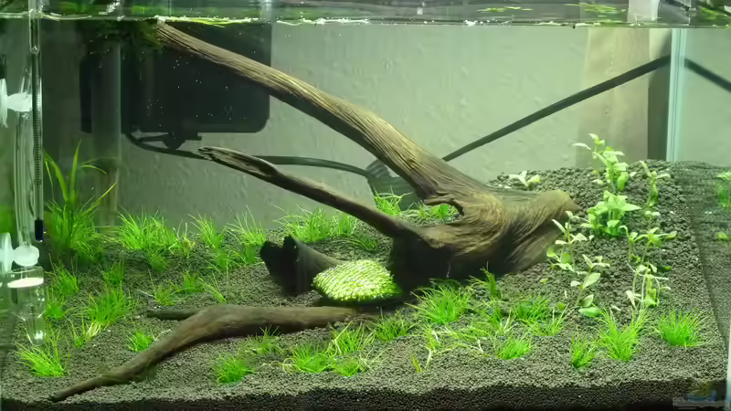 Einrichtung im Mai 2011 von Konzi (5)