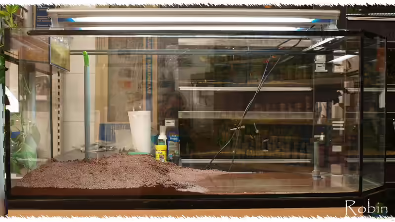 Einrichtung in 08/2010 von pogona (2)