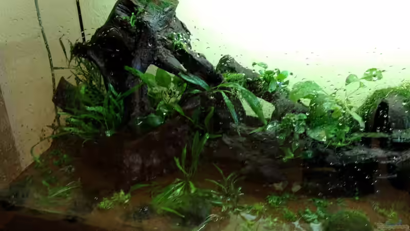 Einrichtung Juli 2013 von Thainrinn (4)