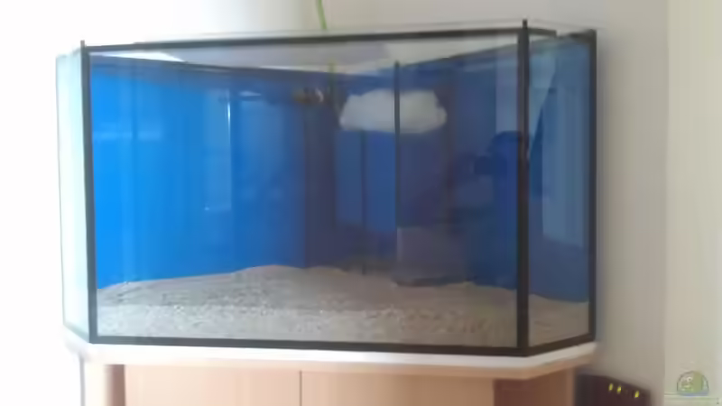 Einrichtung Kies von Pflanzenoase (3)