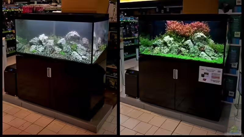 Einrichtung mit Monatsupdate - Oliver Knott von GoreSlayer (2)