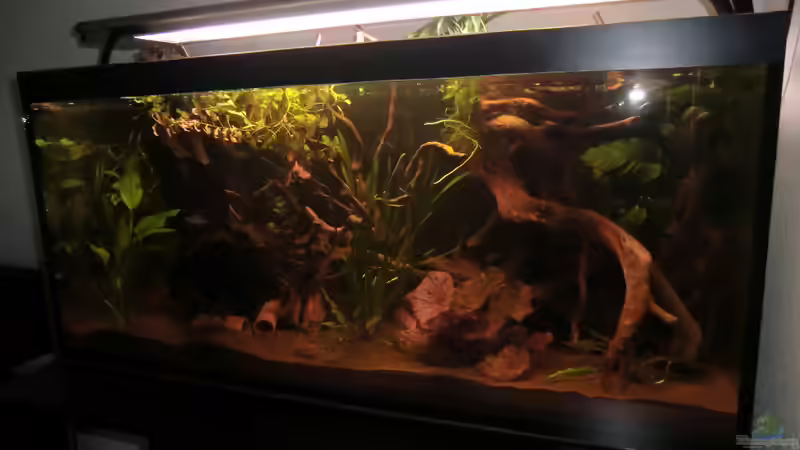 Einrichtung Neu von Teh_D (3)