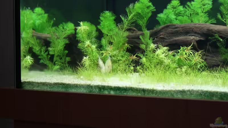 Einrichtung noch am Anfang von Susanne Axt (2)