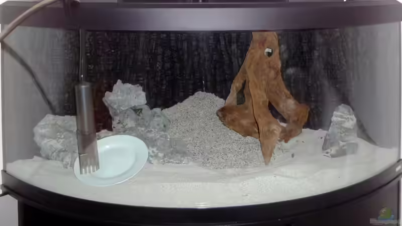 Einrichtung passt - Wasser marsch von Heidi und Gerhard (2)