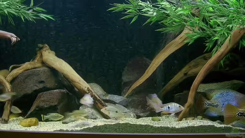 Einrichtung rechts von Bert Teseling (6)