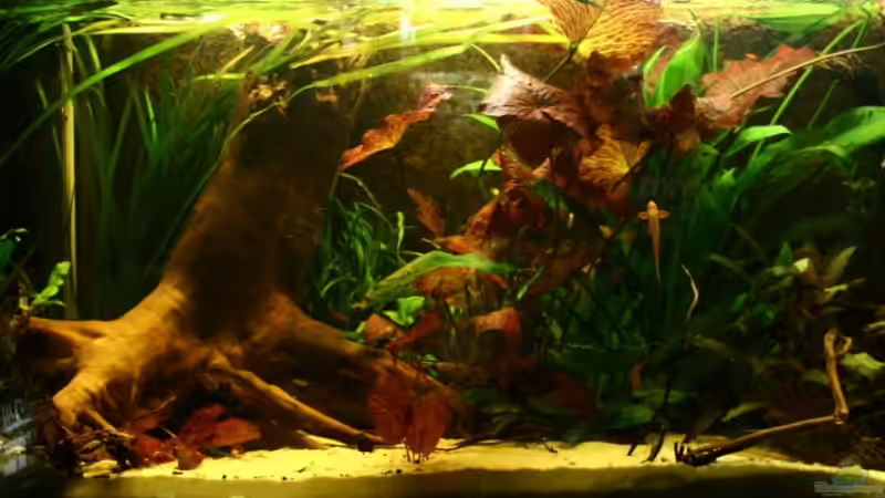 Einrichtung steht 06.01.2012 von Julien Preuß (2)