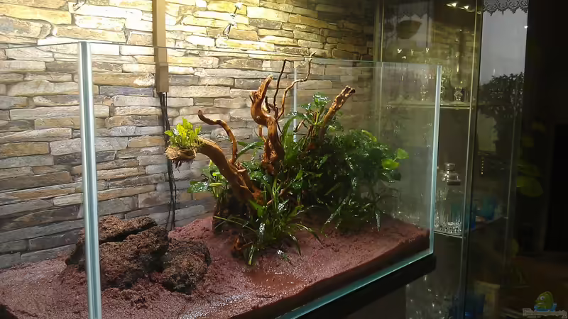 Einrichtung von El Hein (24)