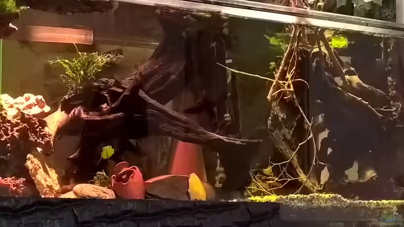 Einrichtung von Lars 300l 1. (15)