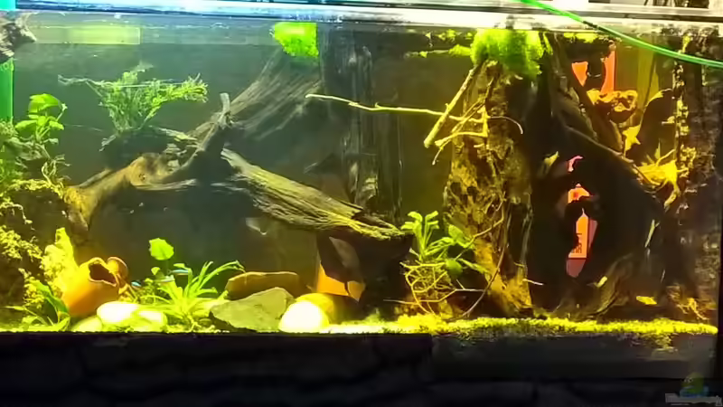 Einrichtung von Lars 300l 1. (16)