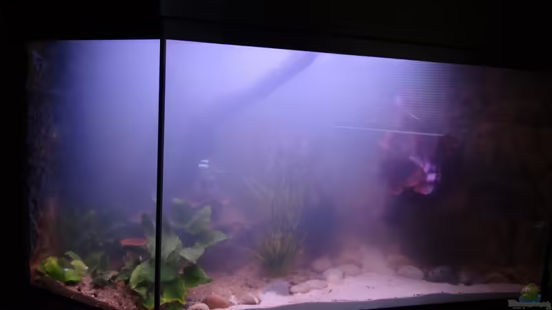 Einrichtung von mcfly (10)