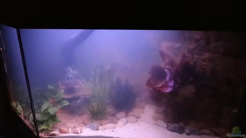 Einrichtung von mcfly (11)