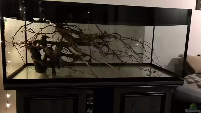 Einrichtung von NaMo (11)