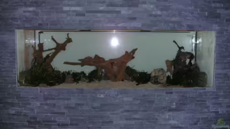 einrichtung von phoenix81 (6)