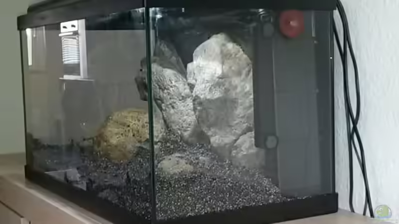 Einrichtung von Rinsu (2)