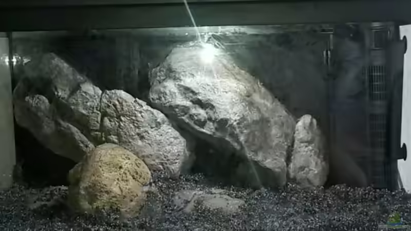 Einrichtung von Rinsu (3)