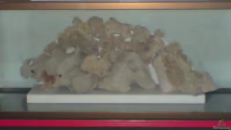 Einrichtung von Sebastian Puhl (2)