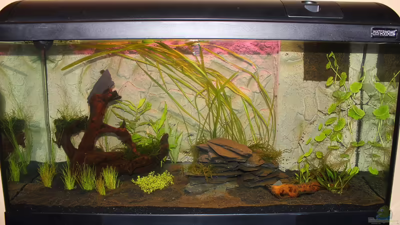 Einrichtung von Springer (7)