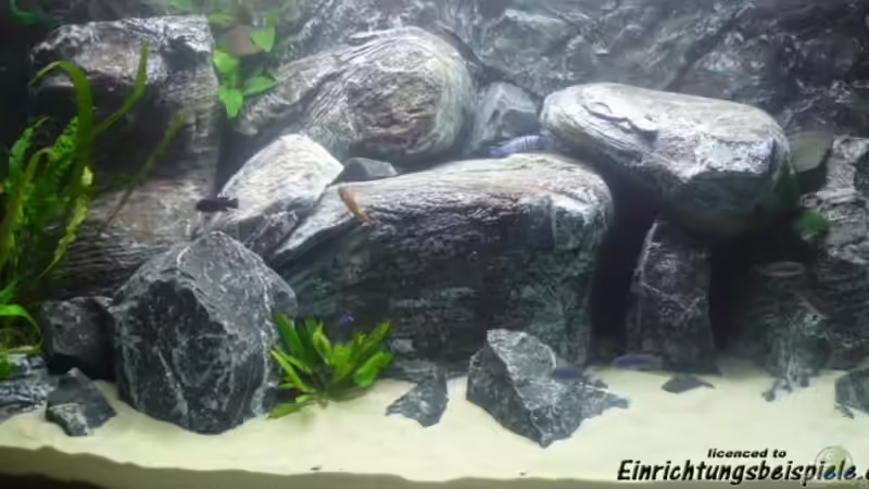 einrichtung zu verkaufen,keine technik!!!