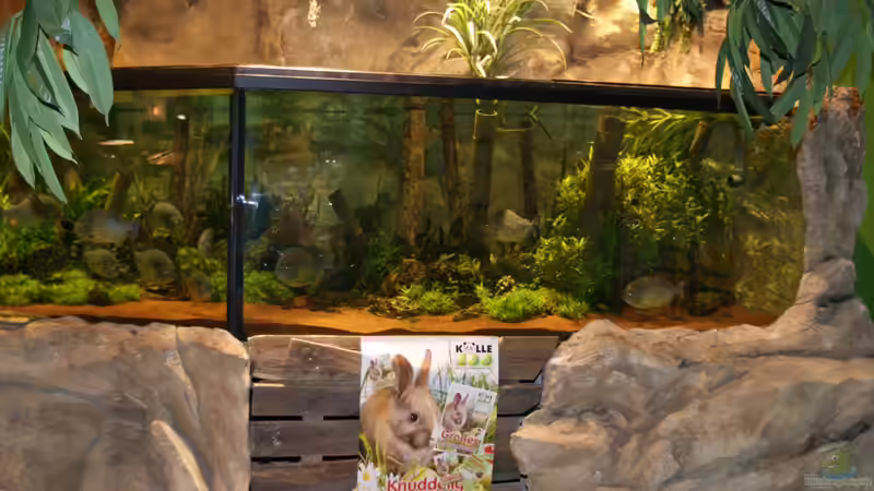 Einrichtungsbeispiele zu Besuch bei Kölle-Zoo in München