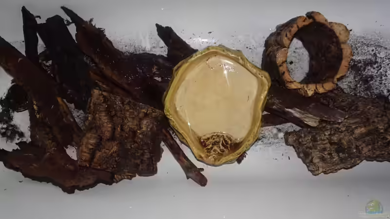 Einrichtungsgegenstände von Cichliden-Kabuff (10)